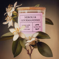Gourmandises Soy Candle